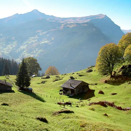 Appartement Baergsunna-3 By Interhome Grindelwald