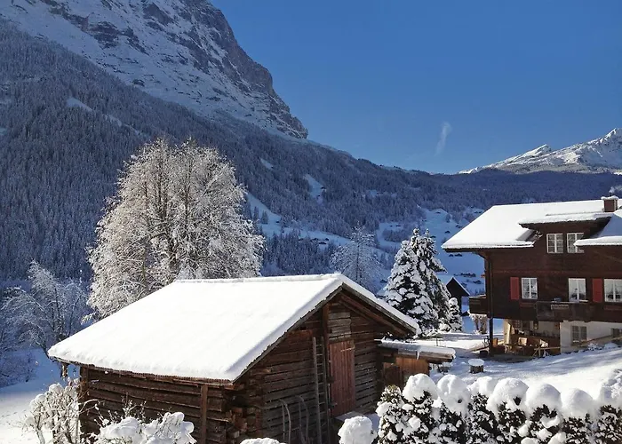 Baergsunna-3 By Interhome 格林德瓦