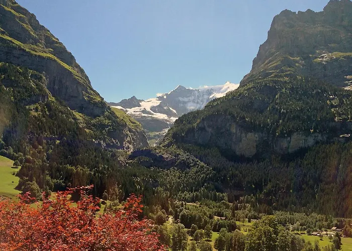 Baergsunna-3 By Interhome Appartamento Grindelwald