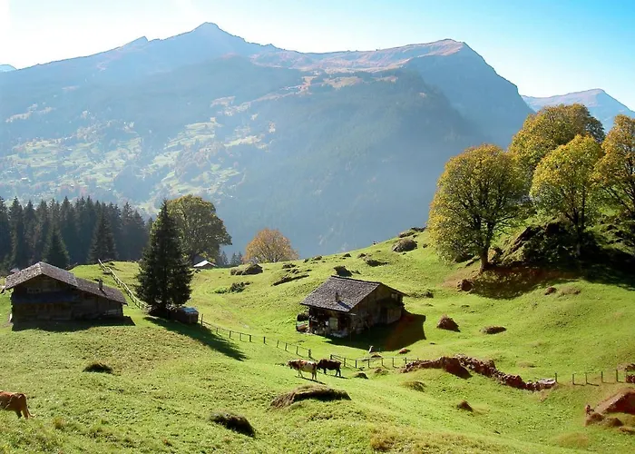 Appartamento Baergsunna-3 By Interhome Grindelwald