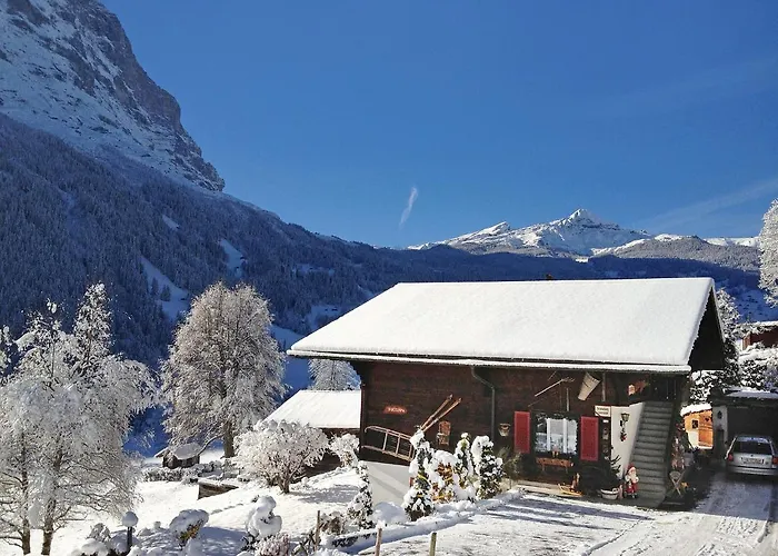 Baergsunna-3 By Interhome Grindelwald